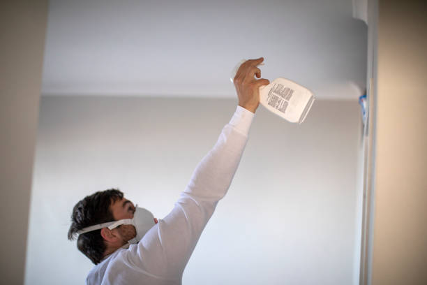 Best Mold Remediation  in Riverside, CT