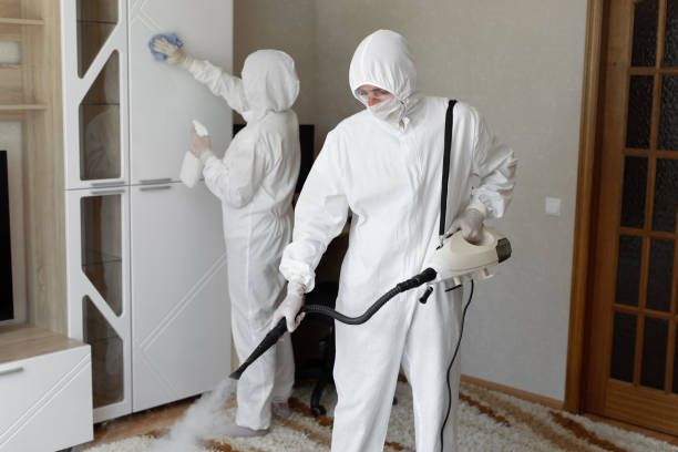 Best Certified Mold Removal  in Riverside, CT