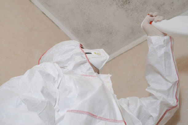 Best Residential Mold Removal  in Riverside, CT