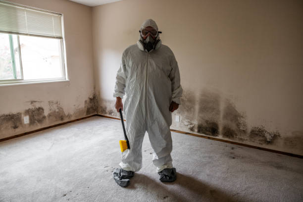Riverside, CT Mold Removal Company